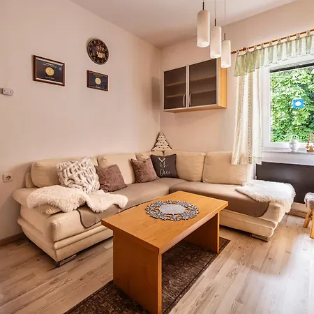 شقة Apartma Brina, New Bathroom In Nov 24 كْرانْيِسكا غورا