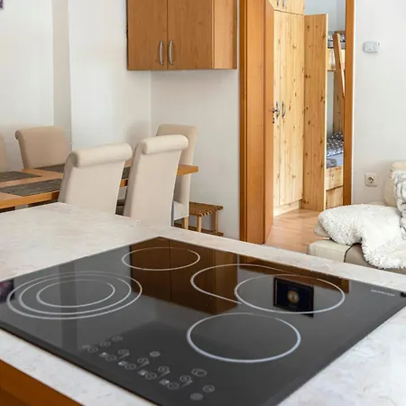 Apartma Brina, New Bathroom In Nov 24 * كْرانْيِسكا غورا