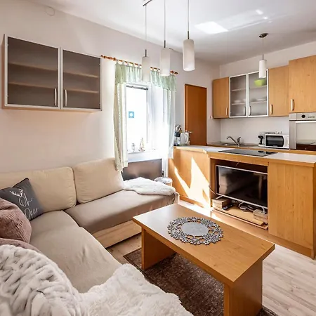 شقة Apartma Brina, New Bathroom In Nov 24 كْرانْيِسكا غورا