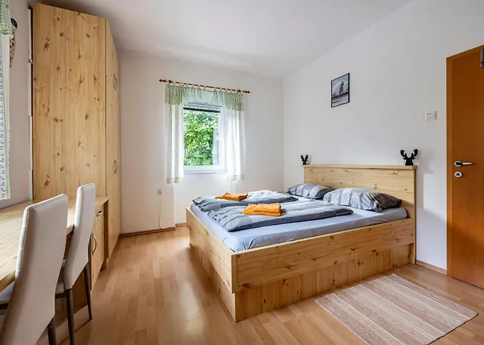 Apartma Brina, New Bathroom In Nov 24 Kranjska Gora