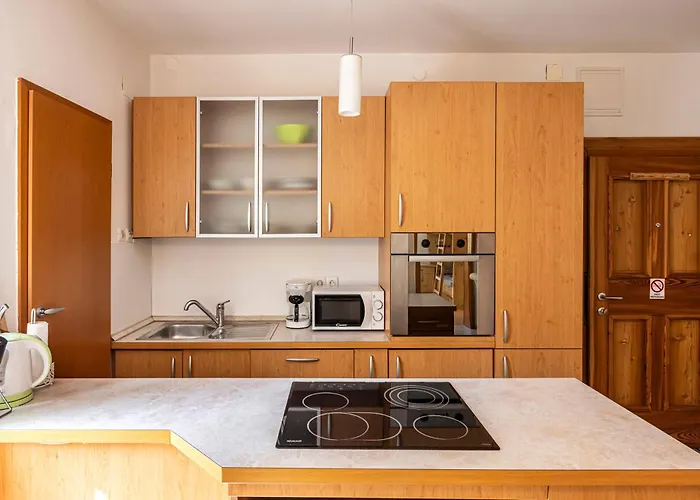 Apartma Brina, New Bathroom In Nov 24 Appartement Kranjska Gora