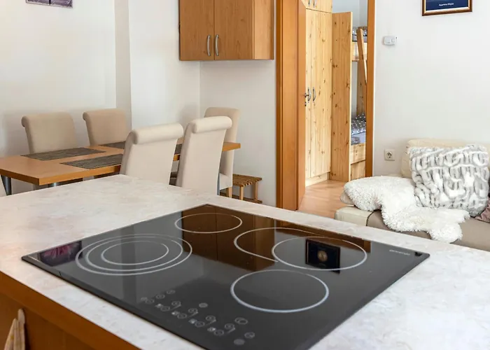 Apartma Brina, New Bathroom In Nov 24 * Kranjska Gora