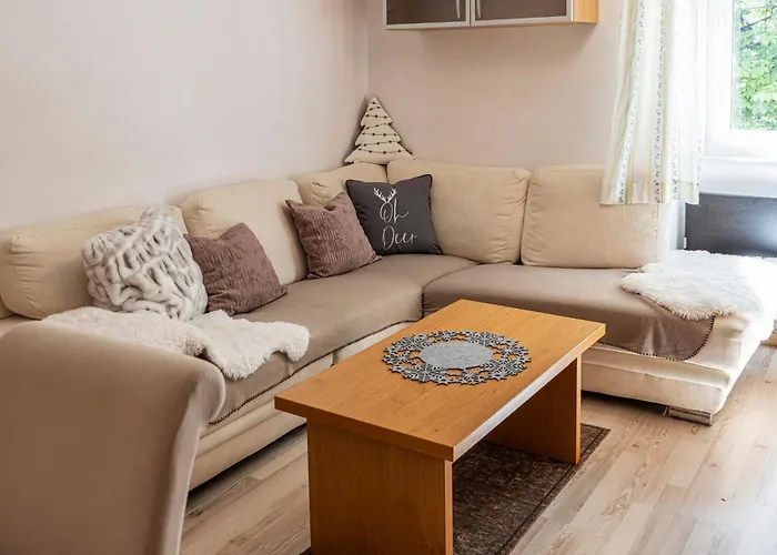 Apartma Brina, New Bathroom In Nov 24 Apartma Kranjska Gora