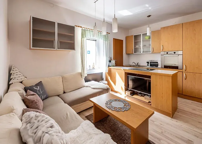 Apartma Apartma Brina, New Bathroom In Nov 24 Kranjska Gora